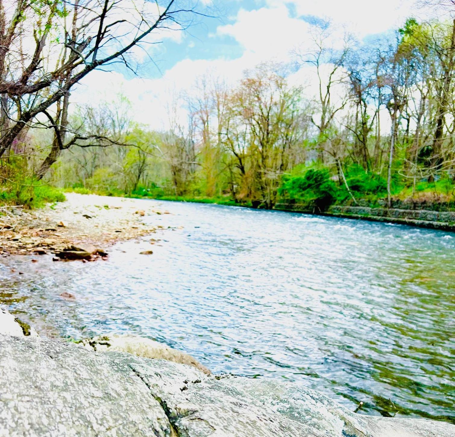 צ'ירוקי Newfound Lodge On The River מראה חיצוני תמונה